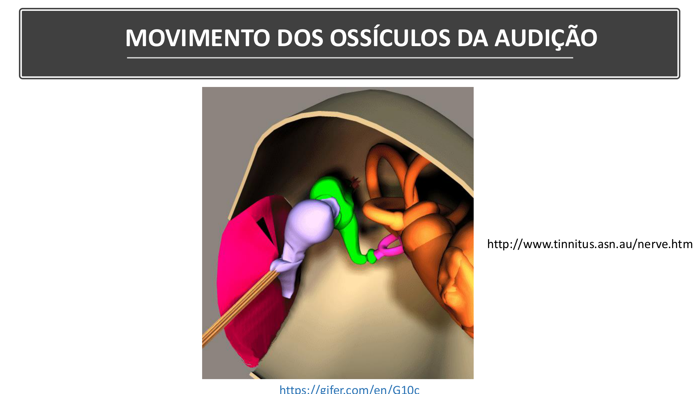 Slide 7