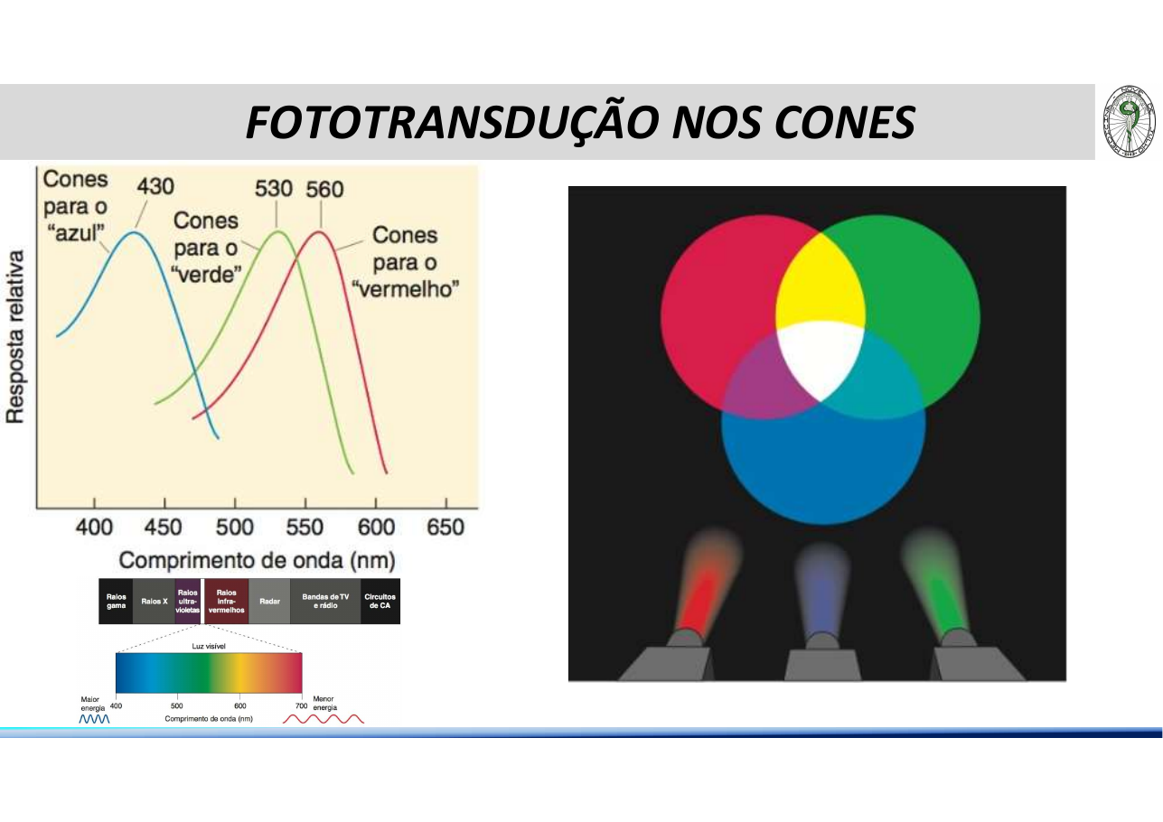 Cones RGB