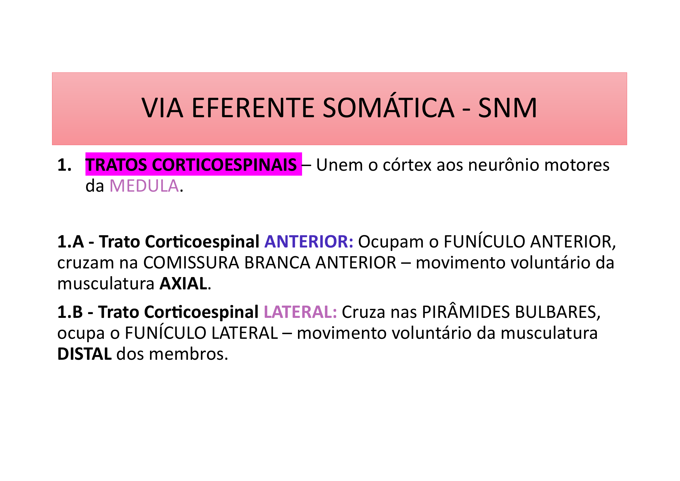 Via Eferente Somática SNM