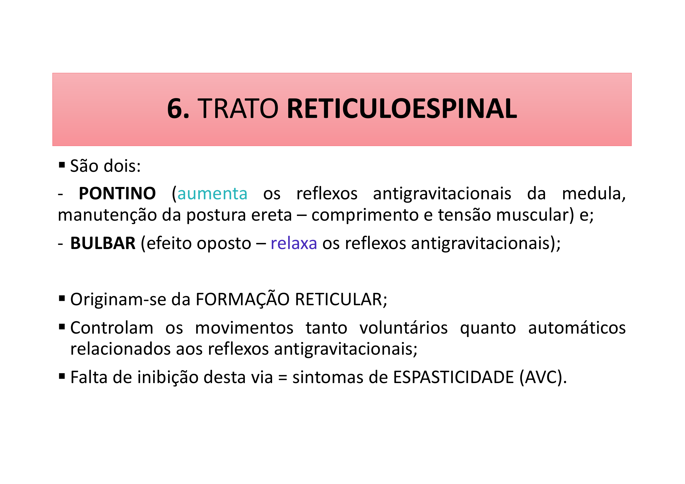 Trato Reticuloespinal texto