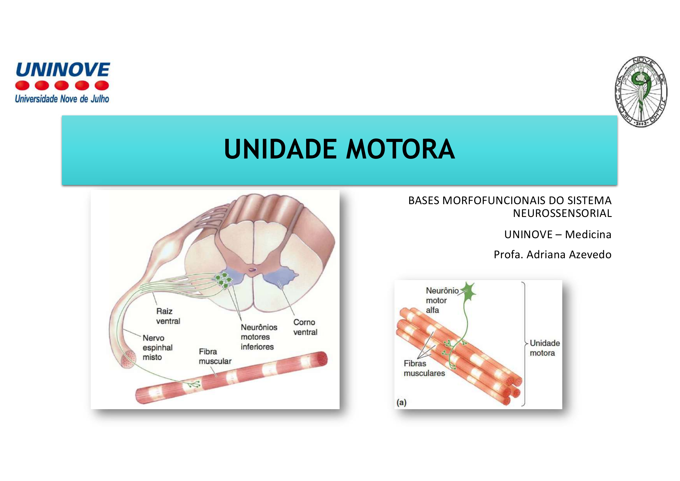 Unidade Motora título