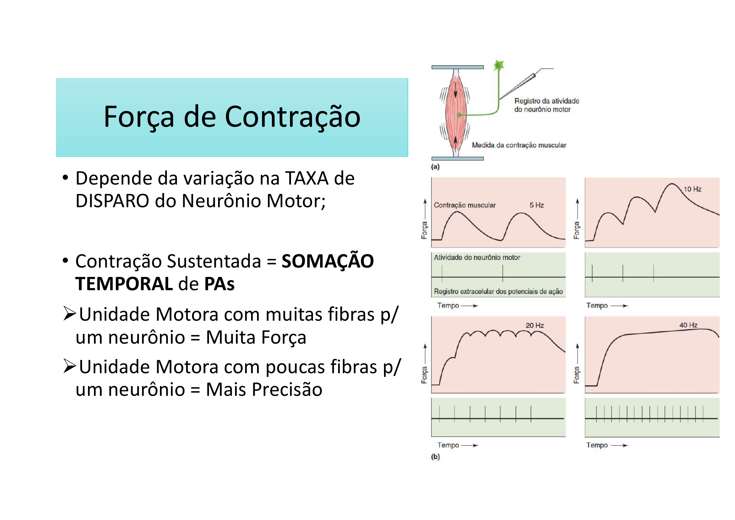 Força de Contração