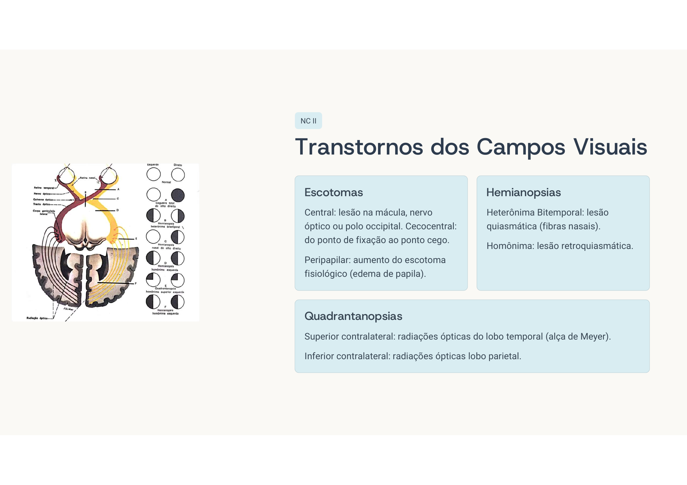 Campos visuais e lesões