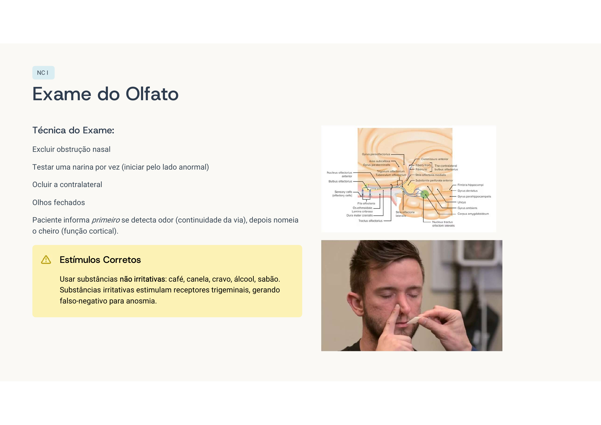 Técnica de exame do olfato