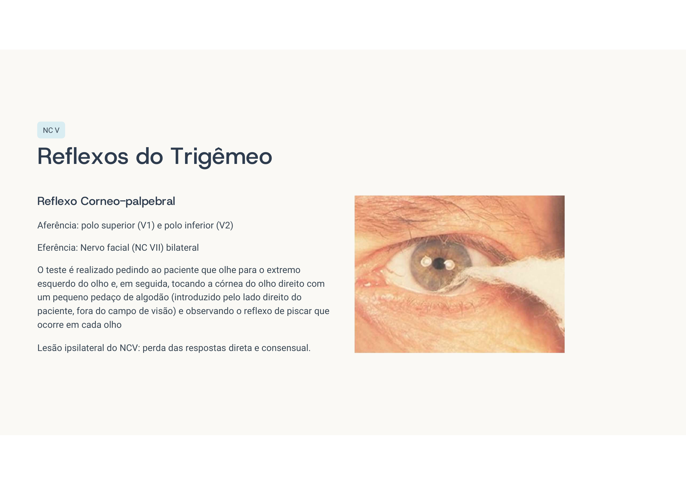 Reflexo corneopalpebral