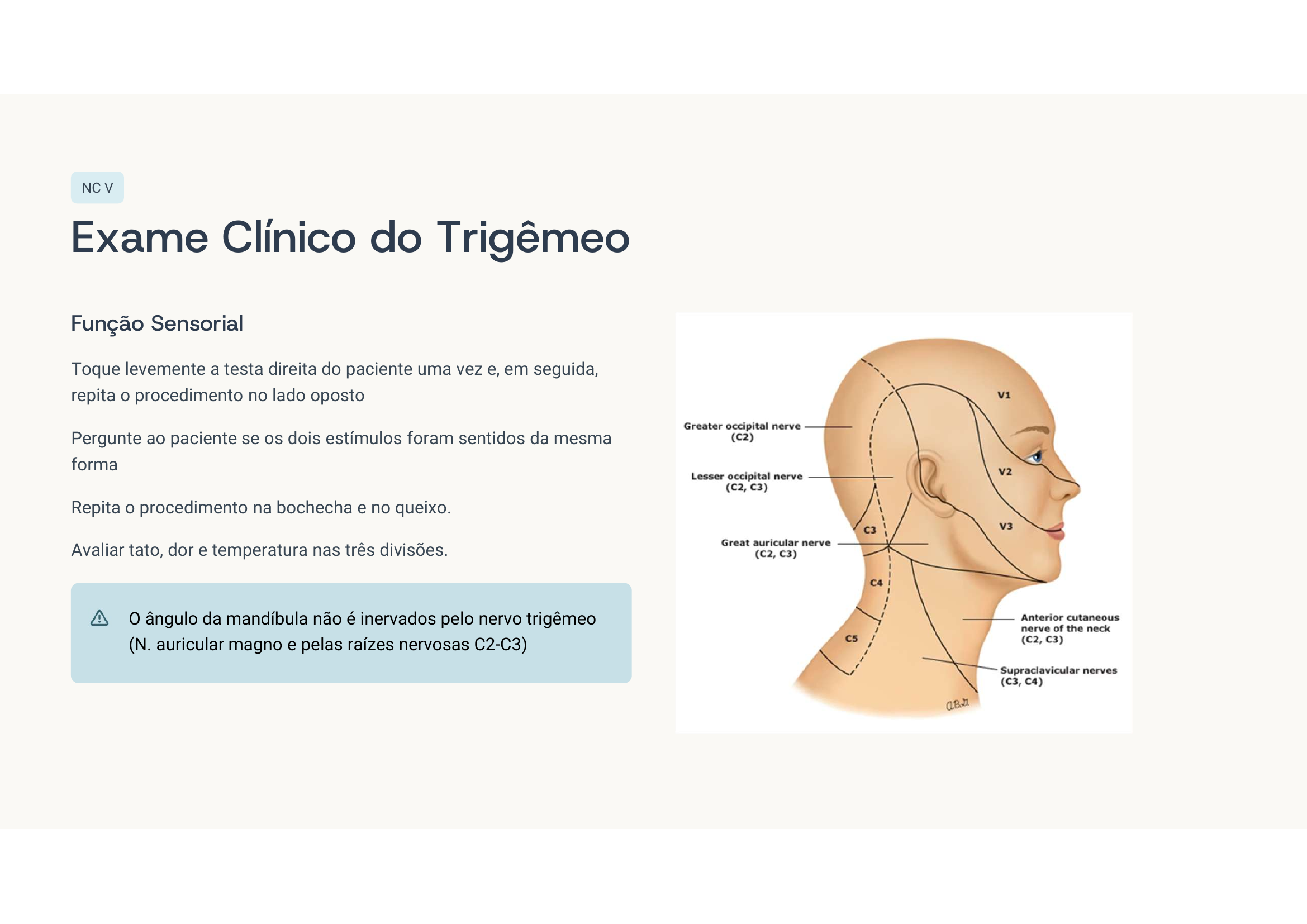 Exame sensorial do V